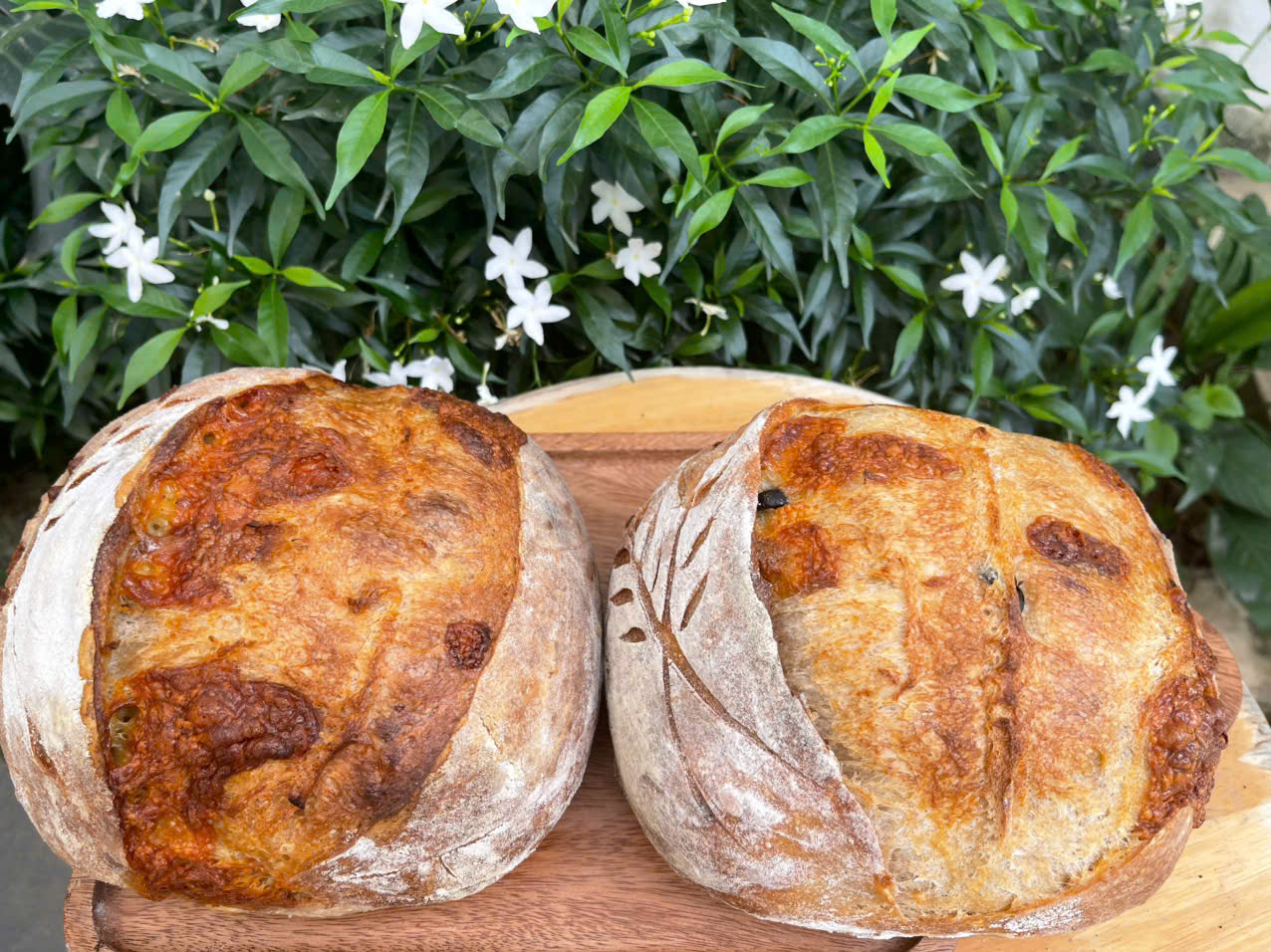 Bánh sourdough thủ công Anna & Levain