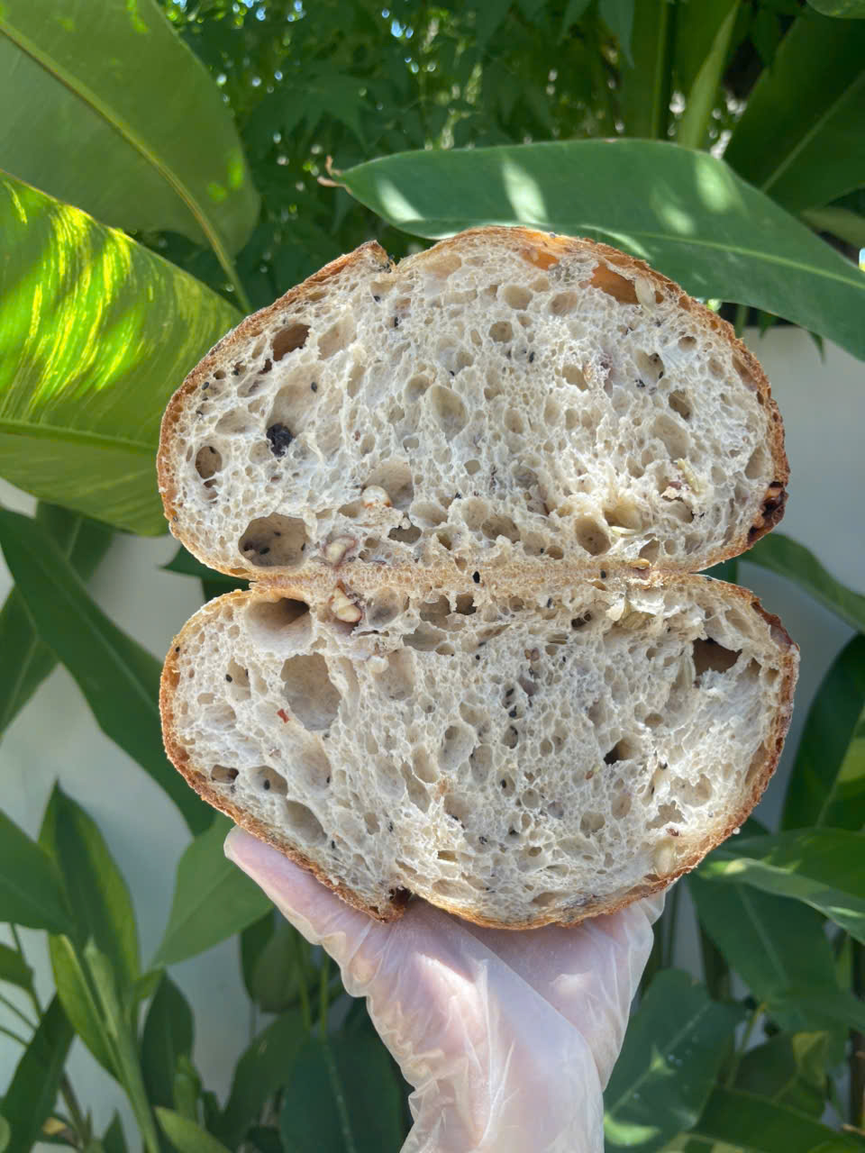 Vì sao ruột bánh sourdough có những lỗ khí khác nhau — gluten, nước, lên men, tạo hình và nhiệt
