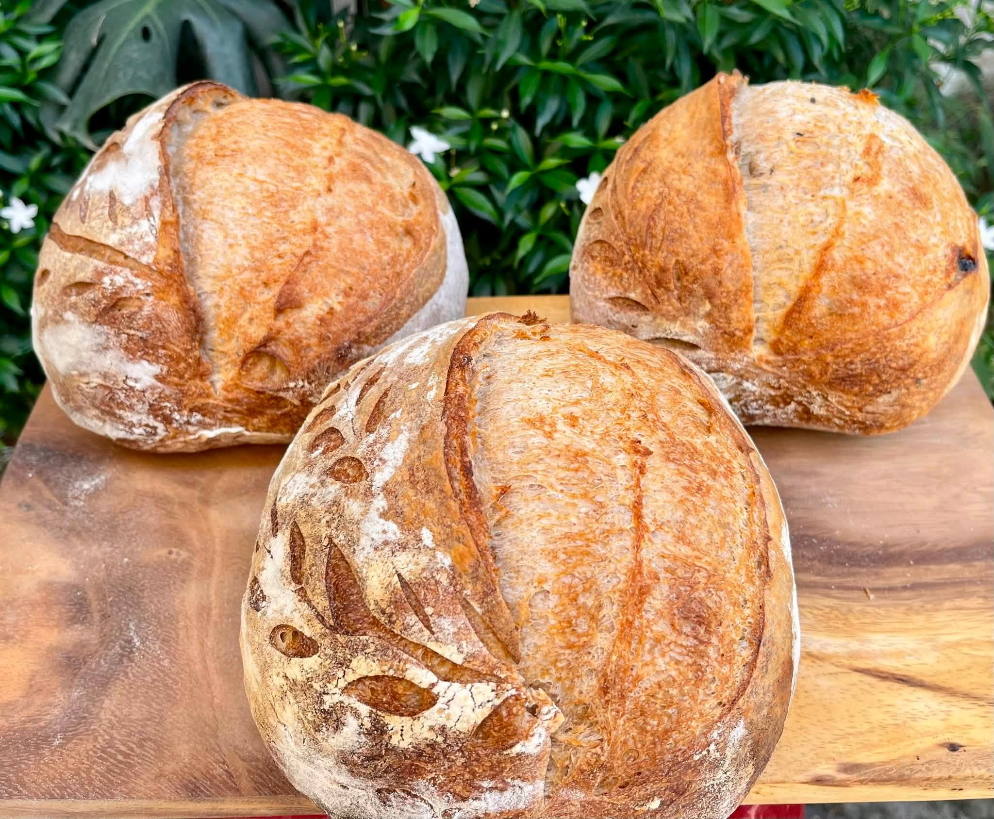 Vì sao bánh mì cũ đi — thoái hóa tinh bột, dịch chuyển độ ẩm và cách làm nóng